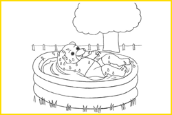 Coloriage Petit Ours Brun piscine 